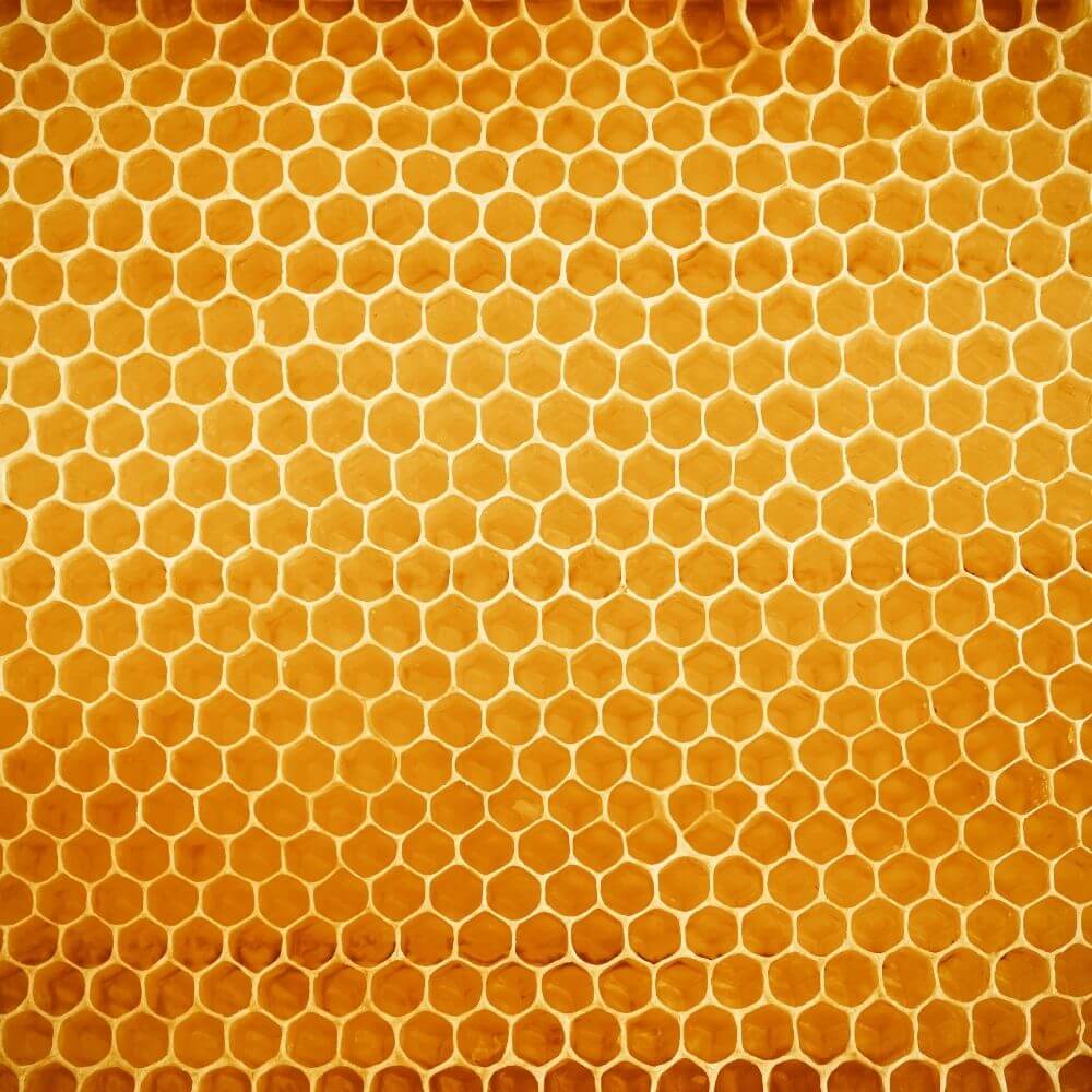 Fluide mains quotidien à la Cire, au Miel & au Citron - Dolce Manu