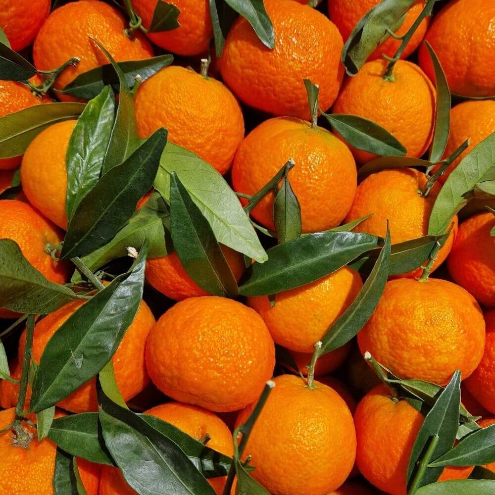 Lait nettoyant / démaquillant visage & yeux - Douceur de Clémentine