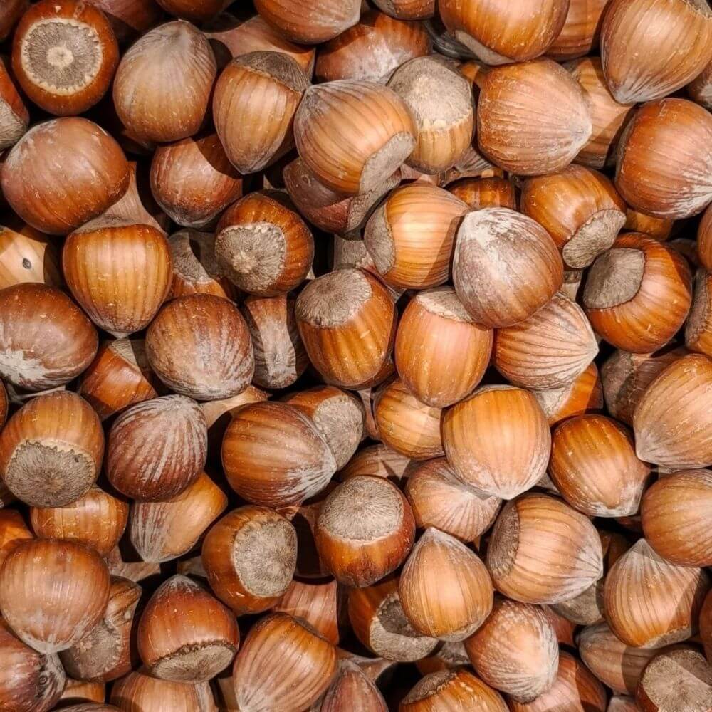 Crème anti-sécheresse à la noisette de Cervione - Lait Confort noisette
